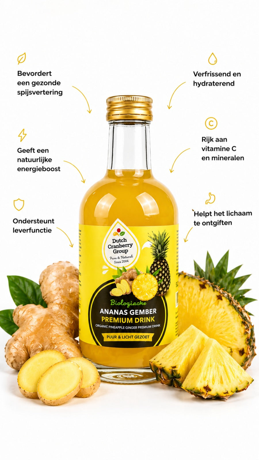 Gember & Ananas Premium Drink
